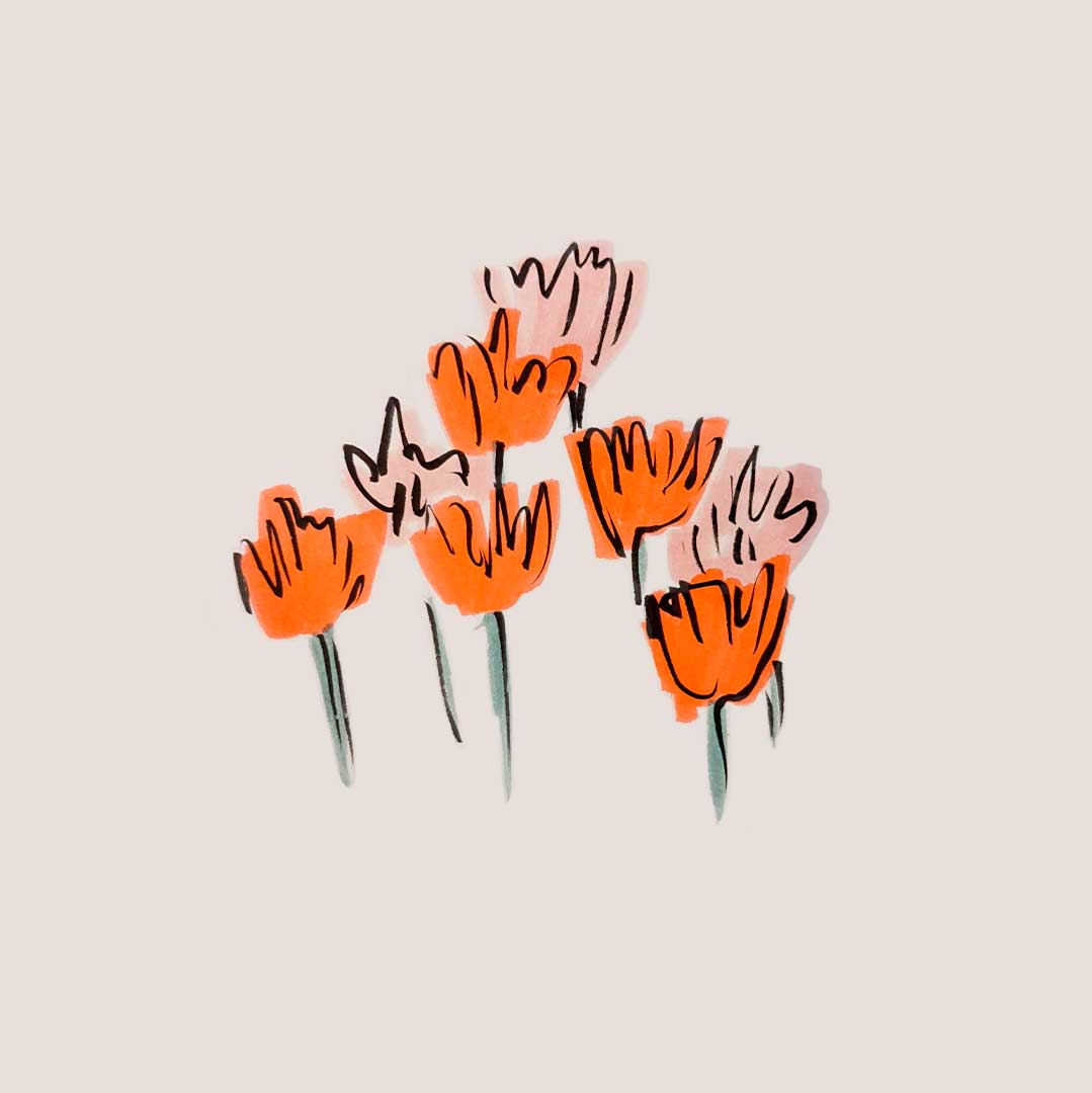 Simple Illustration of red and pink tulips