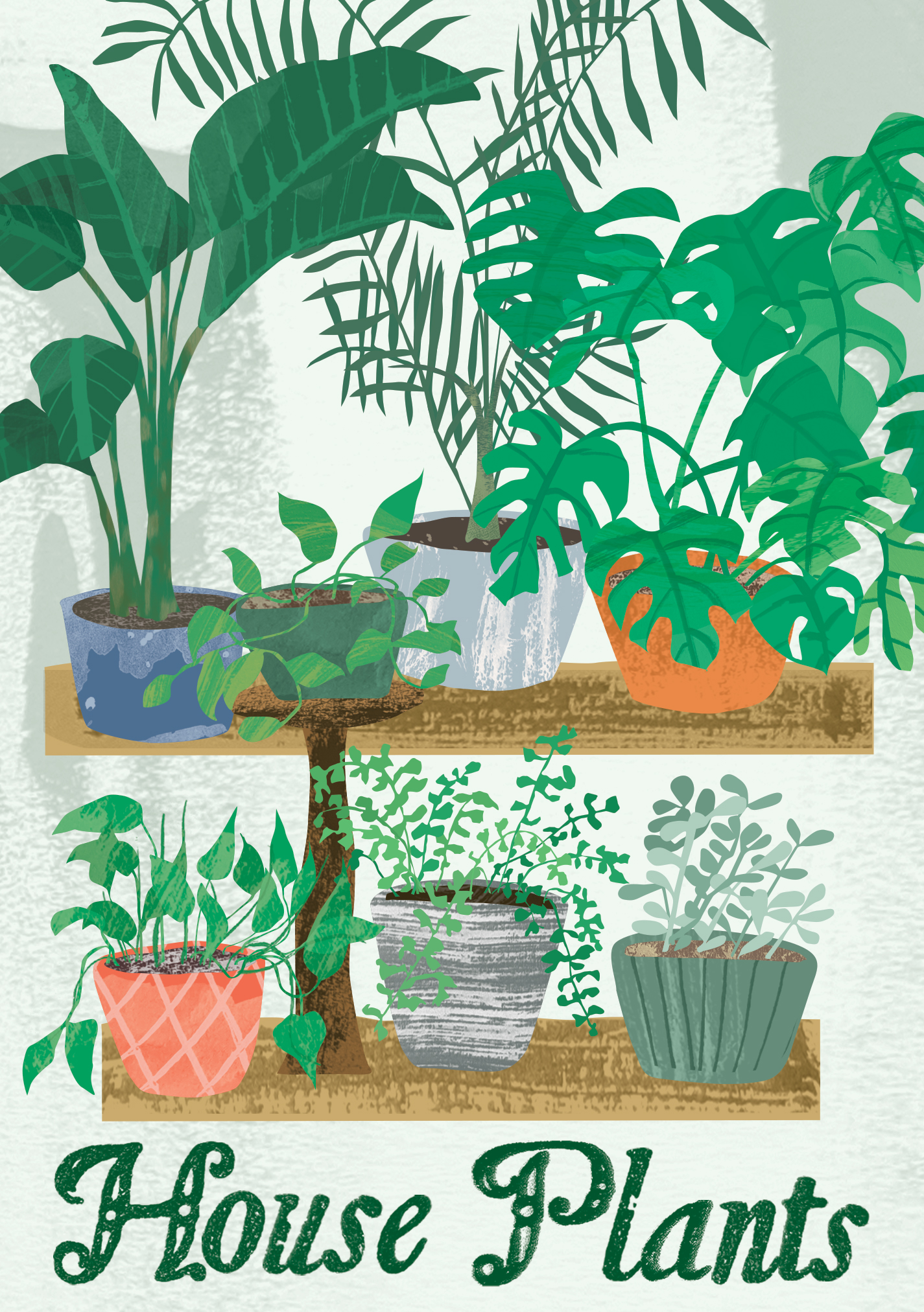 Illustrated image with text reading "House Plants" with many house plants on two shelves.