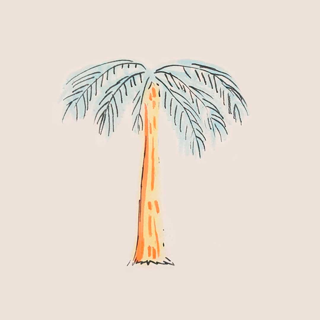 Simple illustration of palm tree